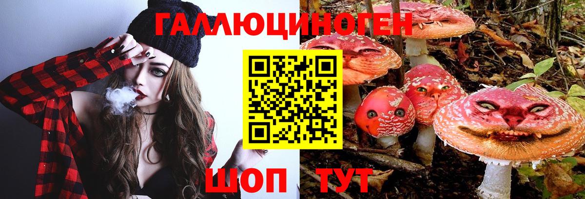 Галлюциногенные грибы Cubensis Добрянка